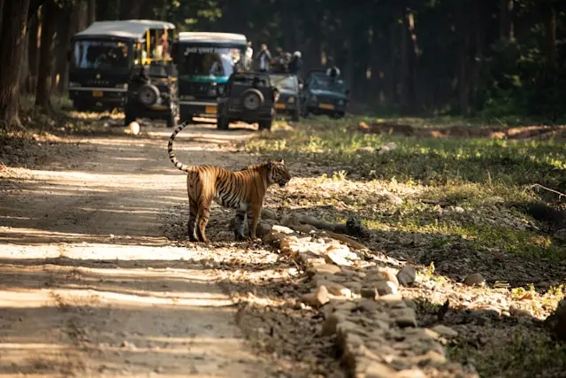 Best of Uttarakhand 3